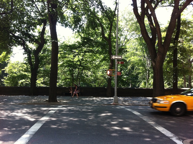  サンプルとなる画像